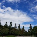 중마동물병원 이미지