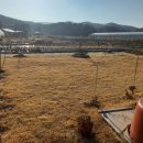 남전농장 이미지