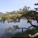 의림지-05 이미지