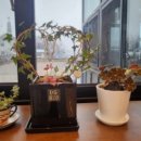 카페일분 안성점 이미지