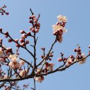 용두공원#1 이미지