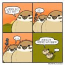 티코오락실 이미지