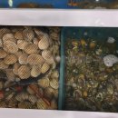 택이네조개전골 이미지