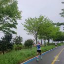 승촌동 2-8 | 【2024호남마라톤완주후기】