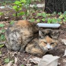 하남시 관광홍보관 이미지