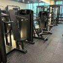 머슬원핏 이미지