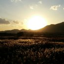 문막체육공원길 이미지