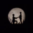 수릉원(남) 이미지