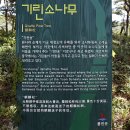 죽동1리 | 인천섬여행_지질명소 소청도~대청도로 떠나는 매력의 섬여행
