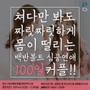 쳐다만 봐도 짜릿짜릿...100일커플, ＜러브액츄얼리2＞ 이미지