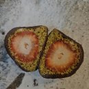 베이크하우스 이미지