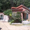 백옥대로730번길 이미지