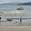 2026년 6월 사천 남일대해수욕장 실시간 방문 후기