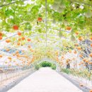 보물농장 이미지