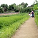 더소풍Ⅱ 이미지