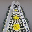 강릉대로 이미지