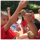 행복한도담어린이집 이미지