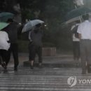 언덕위에 푸른집 이미지