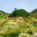 체리농원민박 이미지