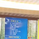 화정벌의원 이미지