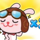 제일카정비세차 이미지