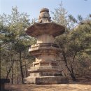 보수대밭골 원로의집 | 천년고찰 문경 봉암사,1년에 단 한번 개방하는 날