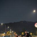 619 | [결혼준비 ep.5] 웨딩스냅 619스냅 촬영후기