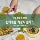 [수강신청]반려동물 가정식 홈케어 클래스 / 4월 수강신청안내/더힐테라피센터