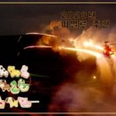 신비로-8 이미지