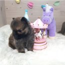 먹골사랑약국 이미지