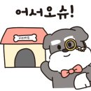 강서야채