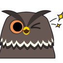 이루짐 - 부산진구 가야대로 509 | 이루짐