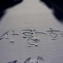 보네