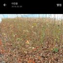 해송2로 이미지