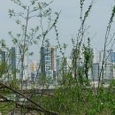 금남면 황용리