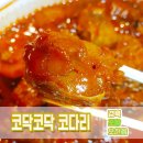 코닥코닥코다리 이미지