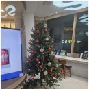 시에스치과병원 | 부산치과 시에스치과병원 서면, 치아 케어의 모든 것!