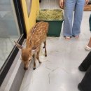 수달앤쥬 이미지