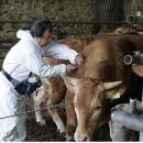 대구가축병원 이미지