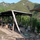 거북민박 이미지