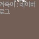 8월 2주차 네이버 불법사채 검색뉴스 리포트 이미지