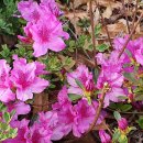 무지개어린이공원 이미지