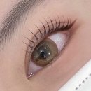 뷰티311 네이버블로그