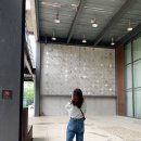 에디션 비 (Edition B)