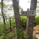 법흥산성 Daum카페