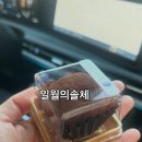 고목로1 이미지