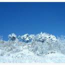 풍년농원 - 가평군 가화로 850 | 풍년농원