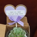 해운대 인문학도서관 | 해운대 인문학도서관 토요 웰니스인문학 이의철 교수의 지구를 살리는 기후미식 강의 후기