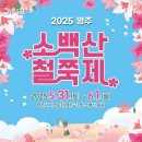 마이스정보 - 영주 소백산 철쭉제 이미지