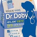 인터펫코리아 이미지